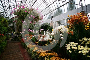 Historic greenhouse interior with barrel vaulted ceiling and colorful flowers at Auckland Domain Wintergardens, New Zealand