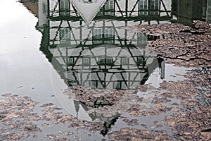 Historic half-timbered house inverted in puddle with pink petals