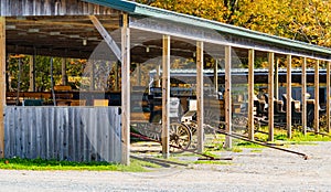 Historic horse drawn carriages in Acadia National Park, Maine, USA