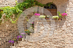 Historic house with flowerpots