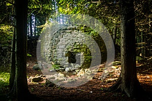 Historic kiln ruins in the forest at Toft Point in Door County, Wisconsin