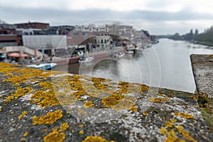 The historic Kingston Bridge over the River Thames covered with gold lichens, England, United Kingdom