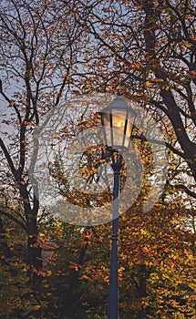 Historic lamp in autumn at sunset, Vysehrad