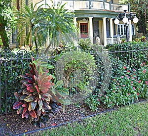 Historic Landscaped Mansion Tampa Florida
