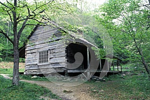 Historic log home in the Smokies during spring.