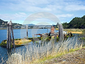 Historic Mary D Hume Steamship Wreck