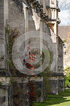 Historic medieval stone building on the campus at Magdalen College, University of Oxford, UK.