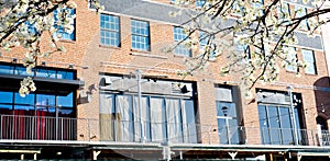 Historic multistory brick building with blossom Bradford Pear tree along canal river walk at Bricktown entertainment district, photo