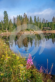 Historic Oderteich water reservoir near Sankt Andreasberg, component of the Upper Harz Water Regale, UNESCO World Heritage Site