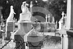 The historic old cemetery in Ostend, Belgium. Blurred background. photo
