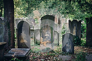 Historic Old Jewish cemetery in Wroclaw, Poland