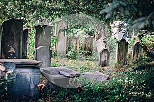 Historic Old Jewish cemetery in Wroclaw, Poland. Background for halloween design and text