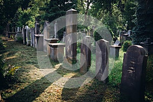 Historic Old Jewish cemetery in Wroclaw, Poland. Background for halloween design and text