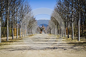 Historic Palace Gardens