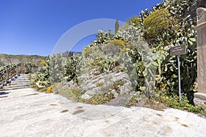 Historic path of Saracens in mountains between Taormina and Castelmola, along the slope of Monte Tauro, Sicily Italy