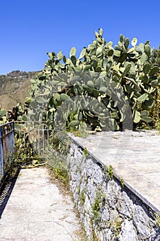 Historic path of Saracens in mountains between Taormina and Castelmola, along the slope of Monte Tauro, Sicily Italy photo
