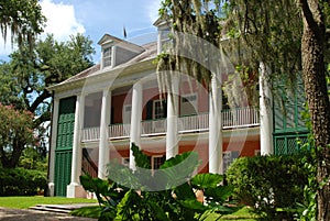 Historic Plantation Shadows on the Teche