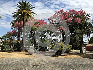 Historic Quarter of the City of Colonia del Sacramento