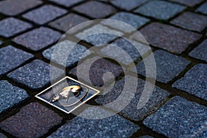 The historic rat emblem embedded in the cobblestone alleys of old town Hamelin