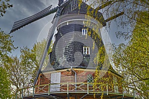 Historic and restored windmill in Berlin, Germany, between birch trees