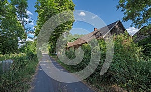 Historic rural buildings in a village in the middle of forests. A summer \