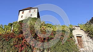 Schatten Castle And Vineyard With Blue Sky photo