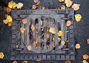 Historic sewer grate, Kaliningrad