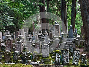 Historic Silence: Temple and Cemetery Wonders in Koyasan, Wakayama, Japan