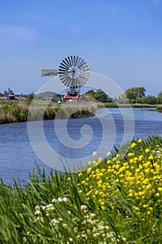 Historic small windmill by the canal and wildflower path in the Netherlands