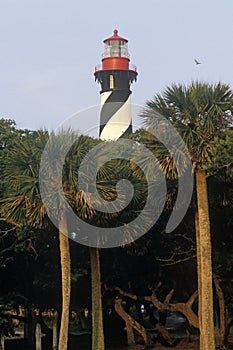 Historic St. Augustine Lighthouse in St. Augustine, FL photo