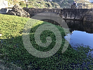 Historic Sutro Baths San Francisco 1