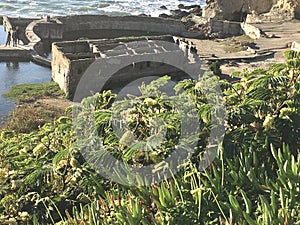 Historic Sutro Baths San Francisco 6