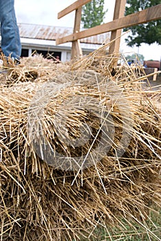 Historic threshing