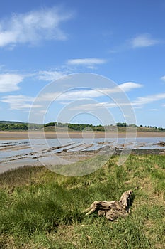 Historic tidal river bank erosion protection scheme at Purton Hulks, Gloucestershire, UK