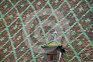 Historic tiled rooftop