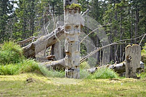 Historic Totem Poles, Sgang Gwaay, Ninstints, Haida Gwaii