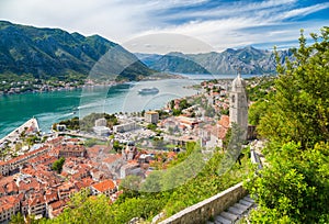 Historic town of Kotor with Bay of Kotor in summer, Montenegro