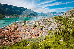 Historic town of Kotor with Bay of Kotor in summer, Montenegro