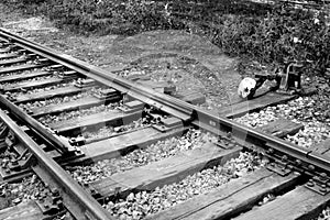 Historic train tracks black and white