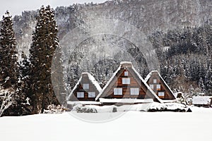 Historic Village of Shirakawago