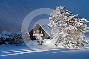 Historic Village of Shirakawago