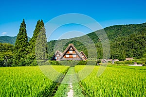 Historic Villages of Shirakawa-go and Gokayama, Shirakawa-mura, Gifu-ken, Japan