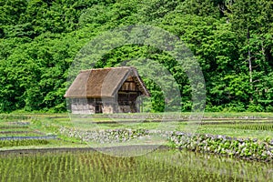 Historic Villages of Shirakawa-go and Gokayama in spring