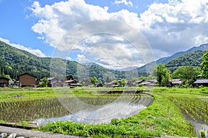 Historic Villages of Shirakawa-go and Gokayama in spring