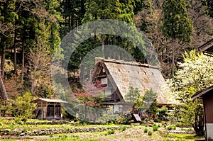 The Historic Villages of Shirakawago