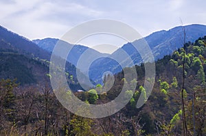 The Historic Villages of Shirakawago