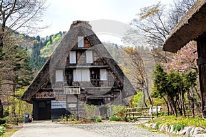 The Historic Villages of Shirakawago