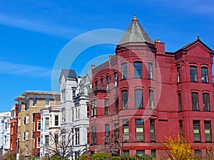 Historic Washington DC rowhouses in spring. photo