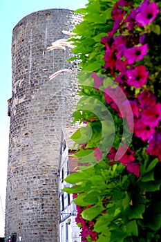 Historic watchtower from the early middle ages with purple blooming flowers in the foreground