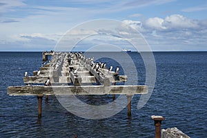 Historic waterfront of Punta Arenas, Chile